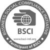 bsci.jpg bsci